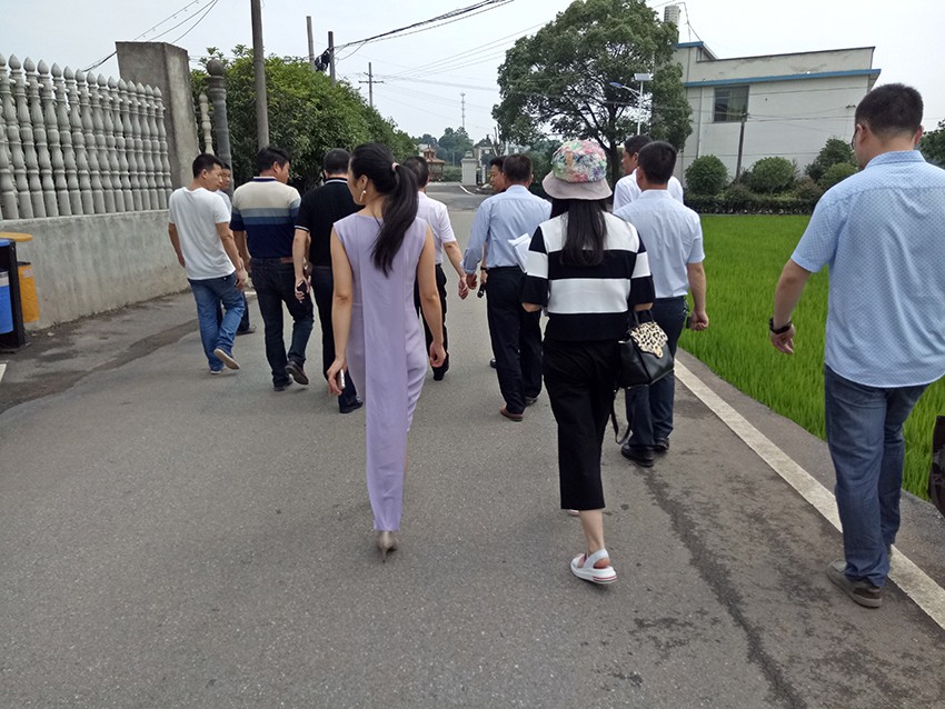 IMG20170608100941.jpg
