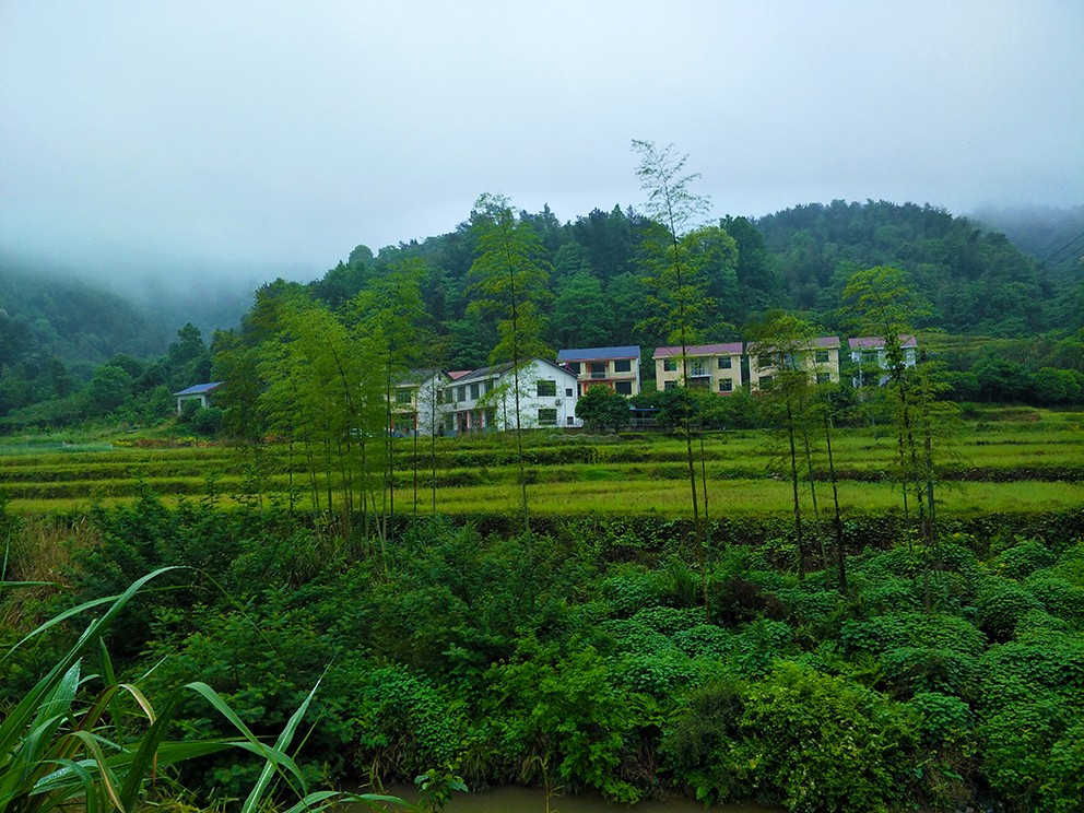 微信图片_20190606104333.jpg