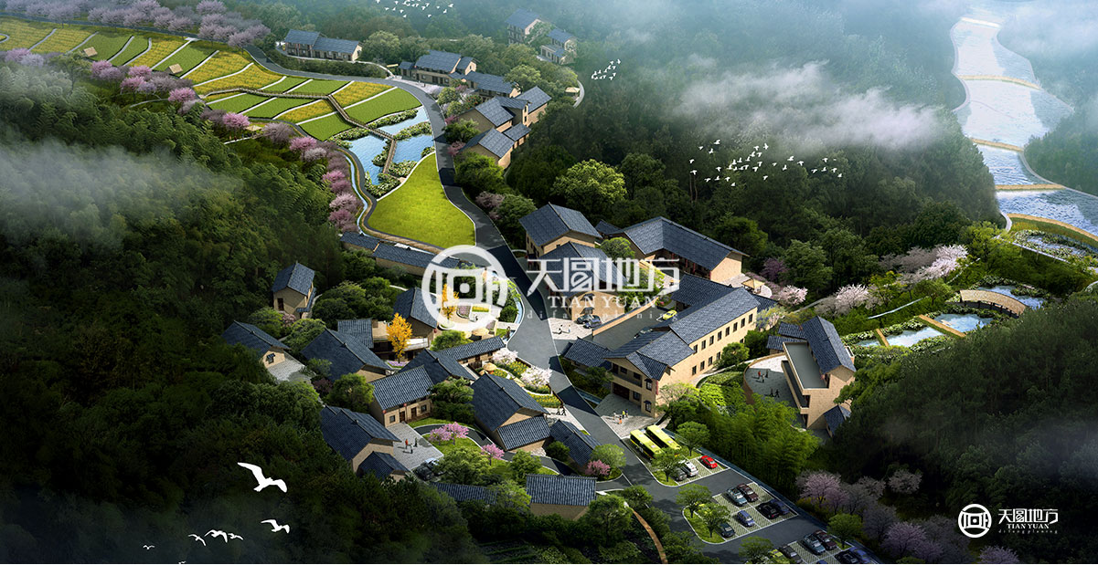 156420196127998026333.jpg